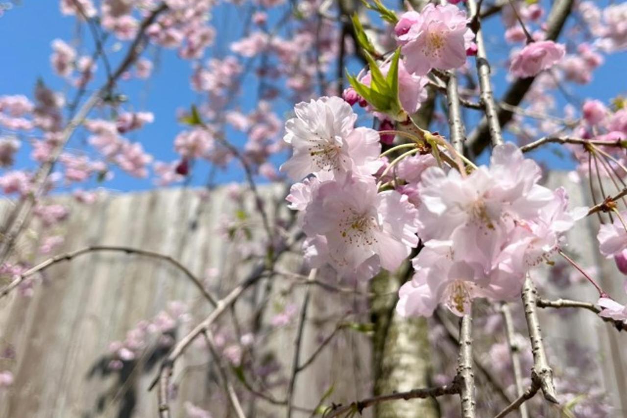 Machi No Odoriba Hotell Kanazawa Exteriör bild