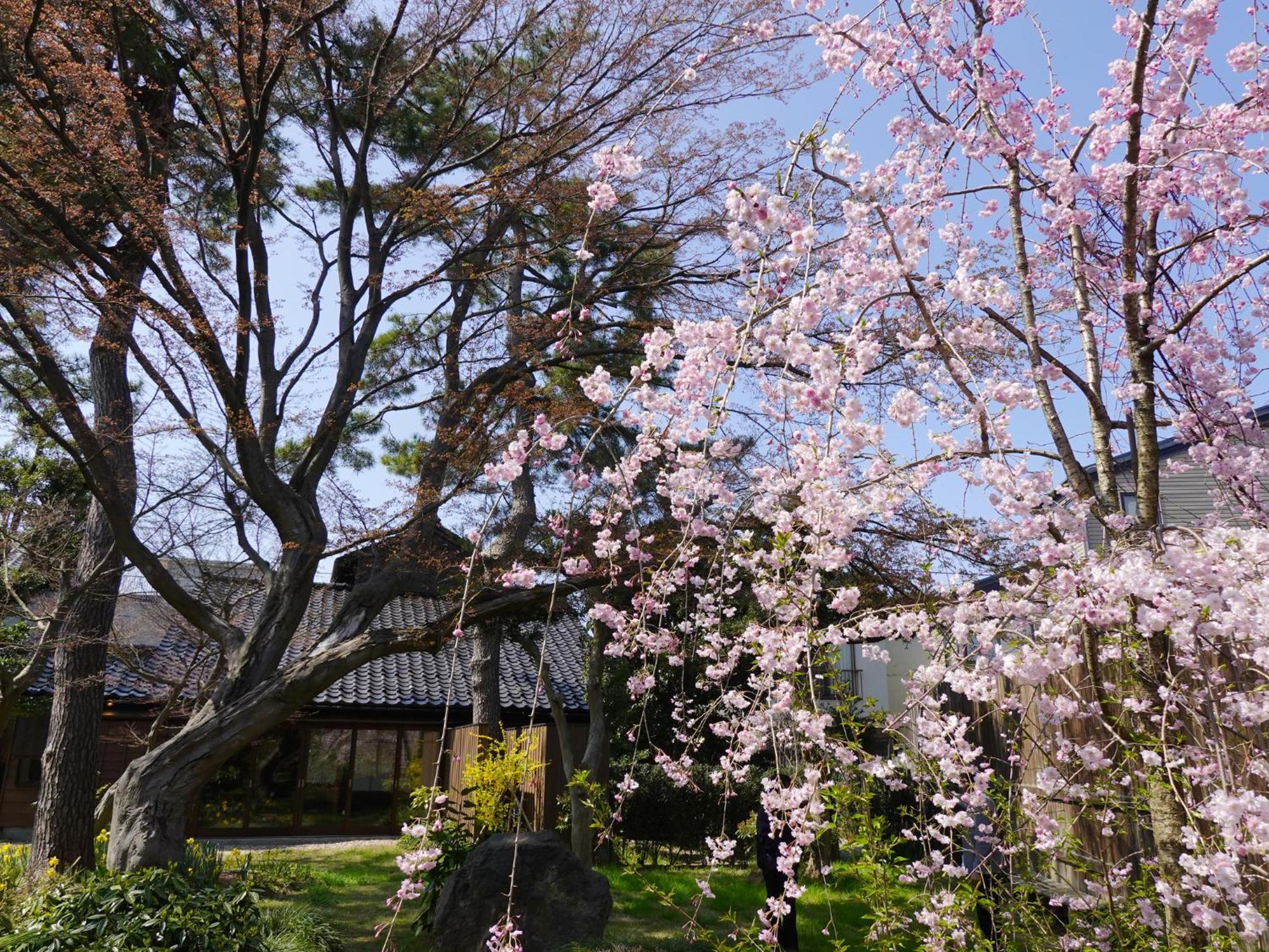 Machi No Odoriba Hotell Kanazawa Exteriör bild